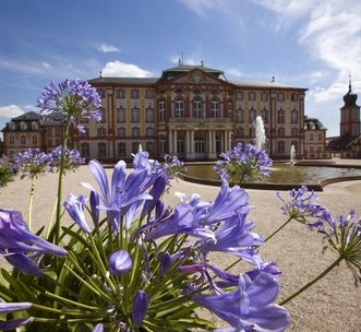 The garden front of Bruchsal Palace with blooming plant