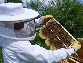 Schloss Bruchsal, Imker mit Bienenwabe