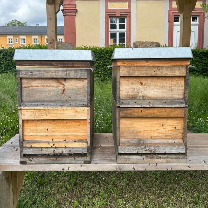 Schloss Bruchsal, Detail, Bienenhaus