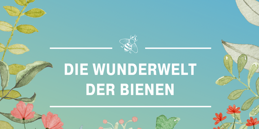 Schloss Bruchsal, Wunderwelt der Bienen