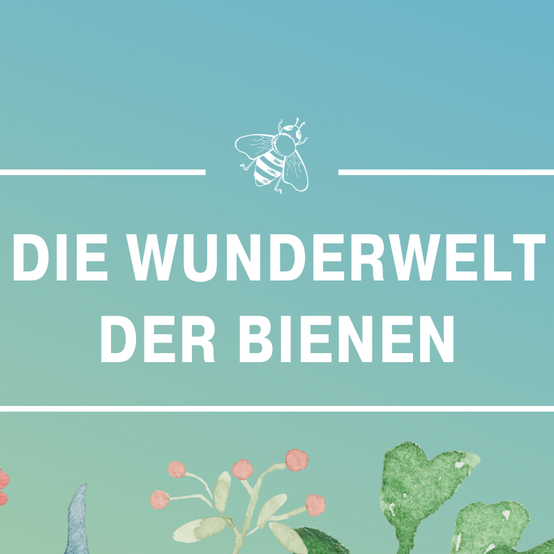 Schloss Bruchsal, Wunderwelt der Bienen