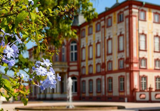 Schloss Bruchsal, Außenansicht mit Blumen und Brunnen