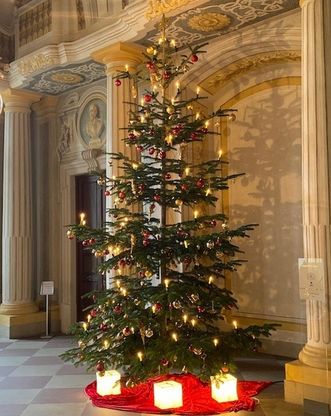 Schloss Bruchsal; Weihnachtsbaum in der Intrada